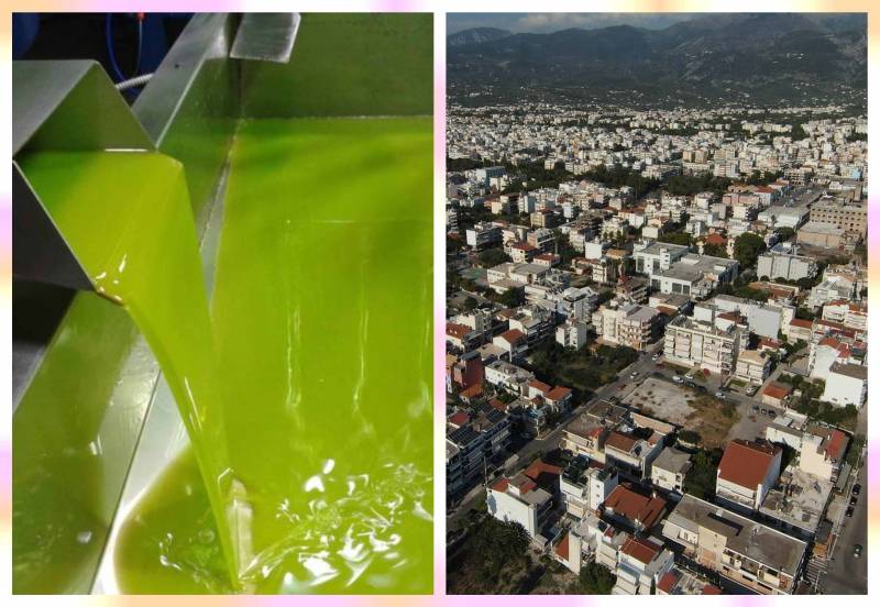 Τα νέα οικονομικά δεδομένα της Μεσσηνίας: Ελαιόλαδο και Airbnb το βασικό εισόδημα