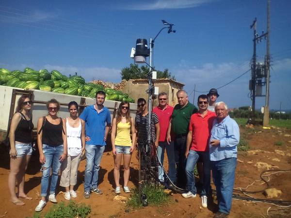 Πειραματικές μελέτες για την άρδευση των καρπουζιών στην Τριφυλία