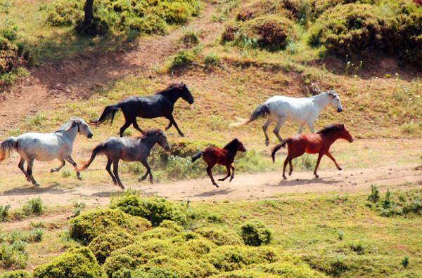 Οικία Ζουζού | Ευγενία Ηλιοπούλου