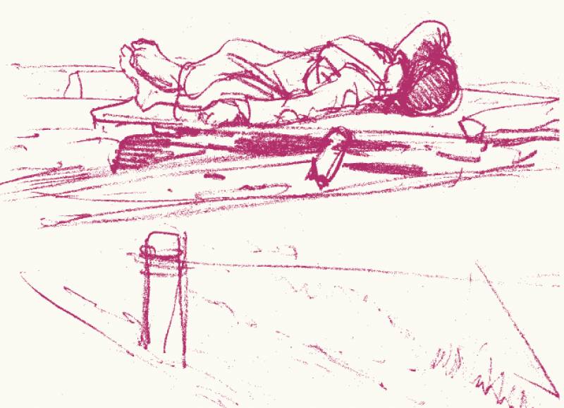 Χεσούς Καρράσκο: Αγρια Ερημιά