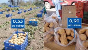 Βγήκαν οι πατάτες: 0,55 στο χωράφι 0,90 στη λαϊκή