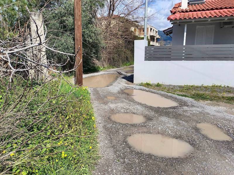 Παρά τις εκκλήσεις δεν έχει ενδιαφερθεί κανείς