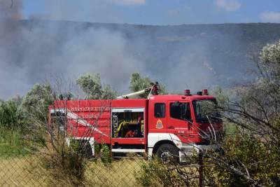 Μεσσηνία: Πυρκαγιά στη Μεγάλη Μαντίνεια (βίντεο)