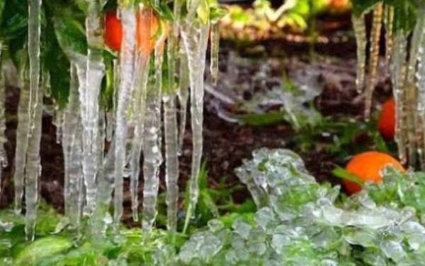 Τα... μαγικά του καιρού στην Αργολίδα (Φωτογραφίες)