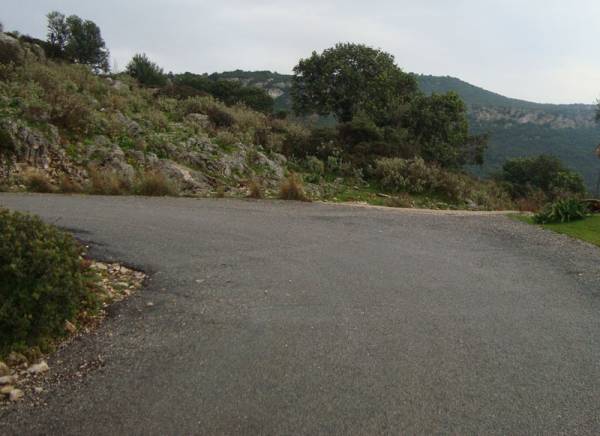 Αναθέσεις για αποκατάσταση αγροτικών δρόμων στο Δήμο Πύλου - Νέστορος