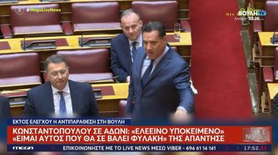 «Ελεεινό υποκείμενο»: Σφοδρή επίθεση Κωνσταντοπούλου σε Γεωργιάδη για την τραγωδία στη Βιολάντα (Βίντεο)