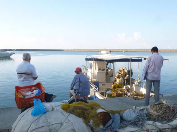 Ξεχωριστές εικόνες κάθε πρωί στο λιμάνι της Καλαμάτας (βίντεο)
