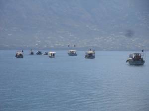 Κύριε Βουδούρη, τρώτε ψάρια ή έχουν χημικά;