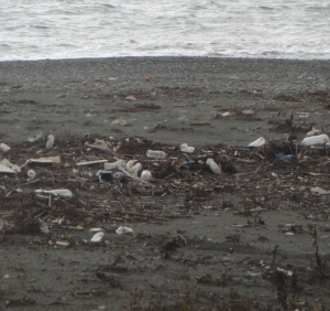 Απαράδεκτη η εικόνα στη Δυτική Παραλία