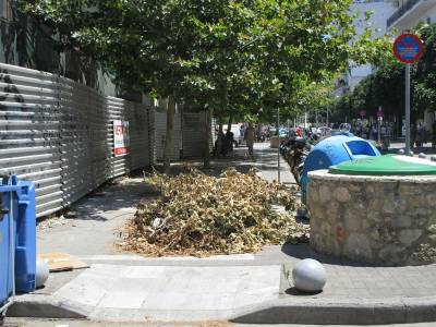 Κλαδιά στο πεζοδρόμιο