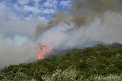 Πολύ υψηλός κίνδυνος πυρκαγιάς αύριο σε 6 περιφέρειες της χώρας