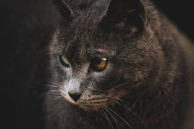 Τι λένε τα ζώδια σήμερα (30/9)