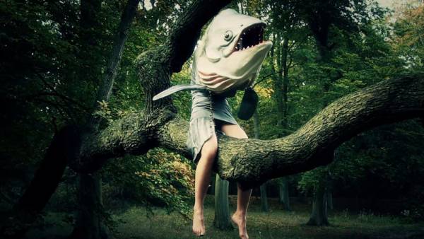 Η έκθεση βιντεοτέχνης του Φεστιβάλ Μηδέν στη Δημητσάνα