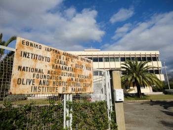 Παραμένει στα λόγια