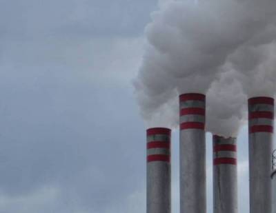 Νομοθετική ρύθμιση για τα πυρηνελαιουργεία ζητάει η Αλειφέρη