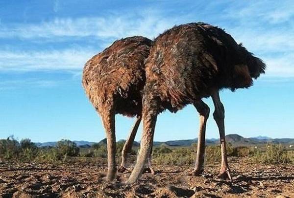 Σκίσαμε ένα μνημόνιο και πήραμε δύο… δώρο!
