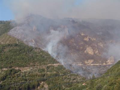 Ποιος προωθεί "κυνικά κτήνη"