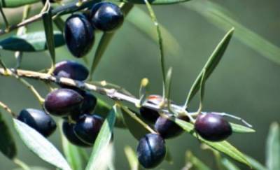 Δύσκολος αλλά αναγκαίος αγώνας