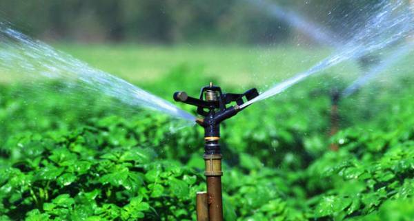 Τα αρδευτικά σε πρώτη προτεραιότητα