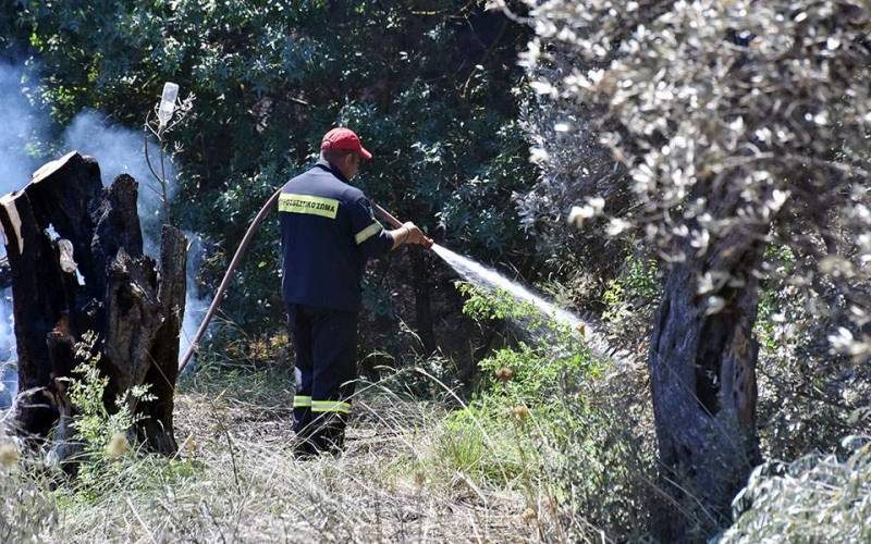 Σε εξέλιξη πυρκαγιά στη Μεγαλόπολη Αρκαδίας