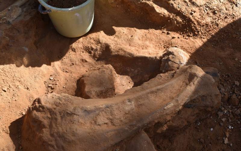 Σύμβαση για Παλαιοντολογικό Μουσείο Μεγαλόπολης