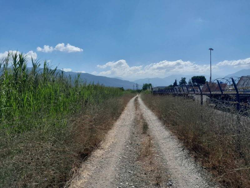 “Ζούγκλα” γύρω από το Αεροδρόμιο Καλαμάτας (βίντεο-φωτογραφίες)