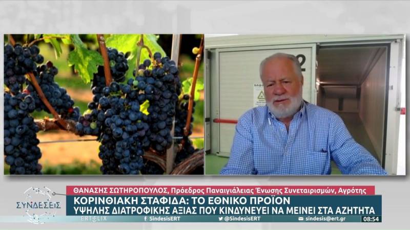 Κορινθιακή σταφίδα: Το εθνικό προϊόν υψηλής διατροφικής αξίας που κινδυνεύει να μείνει στα αζήτητα