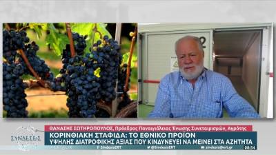 Κορινθιακή σταφίδα: Το εθνικό προϊόν υψηλής διατροφικής αξίας που κινδυνεύει να μείνει στα αζήτητα