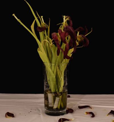 Μαθητές φωτογράφισαν «Τη ζωή χωρίς κάπνισμα» - Διαγωνισμός της Ελληνικής Καρδιολογικής Εταιρείας