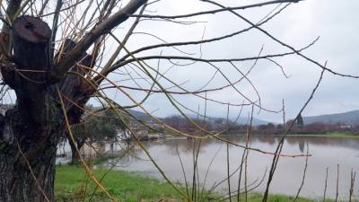 Στη Θεσσαλία σήμερα ο Επίτροπος Γεωργίας της ΕΕ - Ανακοινώνονται τα πρώτα μέτρα αρωγής για τους αγρότες