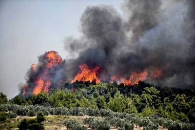 Πορτοκαλί και κίτρινος συναγερμός για πυρκαγιά στην Πελοπόννησο (7/8)