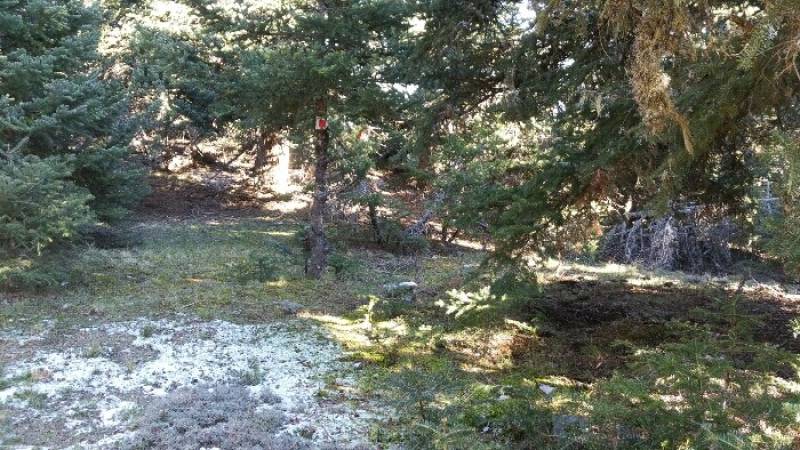 Εξόρμηση του “Ευκλή” στο Δυτικό Μαίναλο