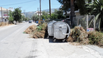 Λόφοι με κλαδιά στα πεζοδρόμια