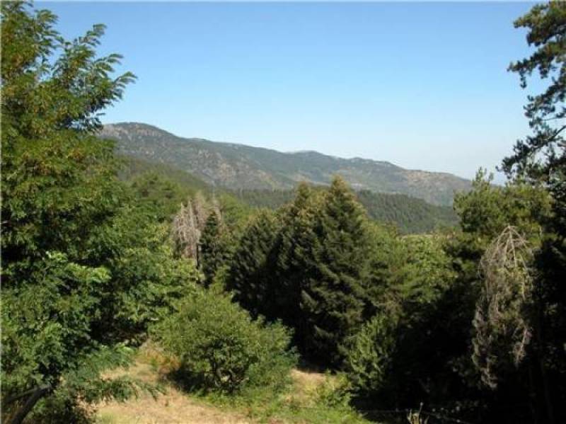 Πρόσληψη εργατών δασοπροστασίας στον Δήμο Τριφυλίας