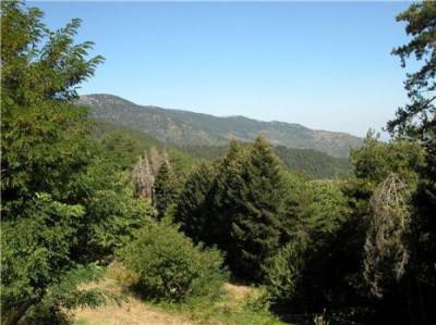 Πρόσληψη εργατών δασοπροστασίας στον Δήμο Τριφυλίας