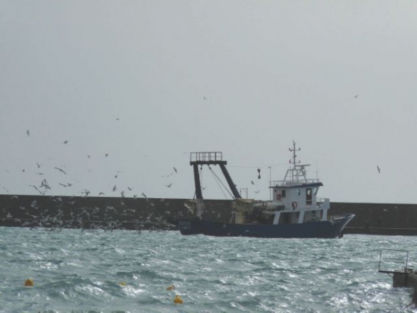 Πανέμορφη εικόνα