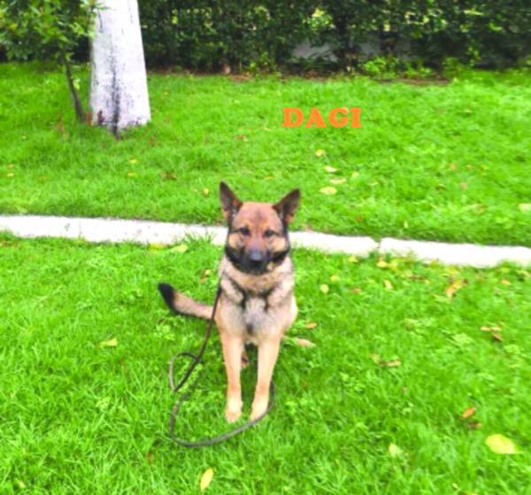 Δίωξη Ναρκωτικών Καλαμάτας: Αποστρατεύτηκε η Divina και ανέλαβε η Dagi