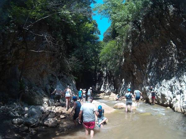 Ζωντάνεψε η Νέδα