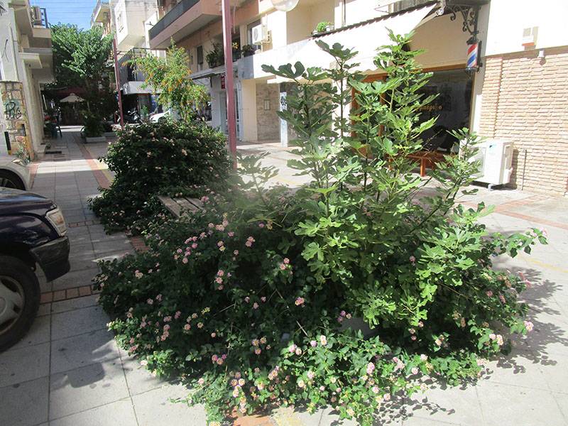 Να επέμβει άμεσα ο δήμος