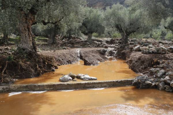 Λύσεις κι έργα για να μην ξαναγίνει το κακό