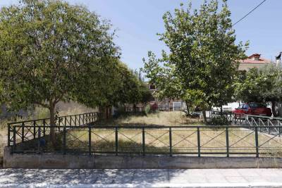 Παραμέληση στη Ράχη