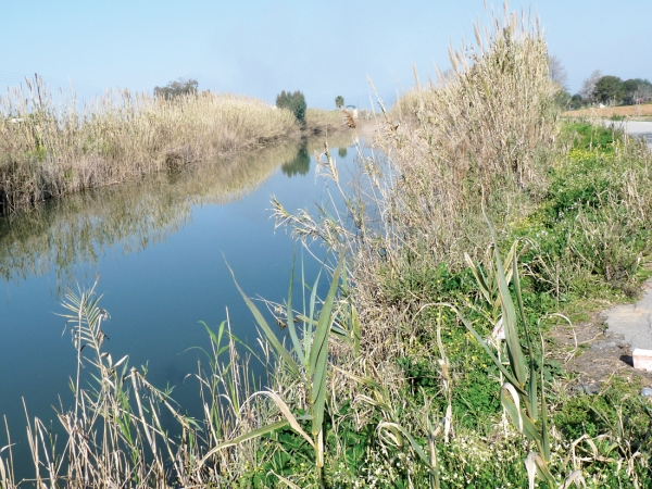 Τα ποτάμια της Μεσσηνίας δεν είναι από τα χειρότερα