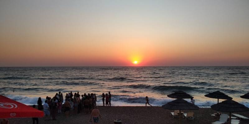 Μεσσηνία: Χελωνάκι στη θάλασσα με τη βοήθεια των εθελοντών στο Καλό Νερό (βίντεο)