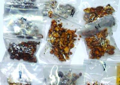 Μεσσηνία: Ελεύθεροι για τα παραισθησιογόνα μανιτάρια από την Ολλανδία