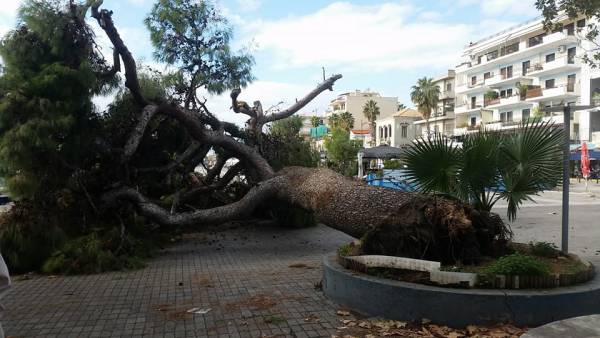Η σιωπή των γεωπόνων