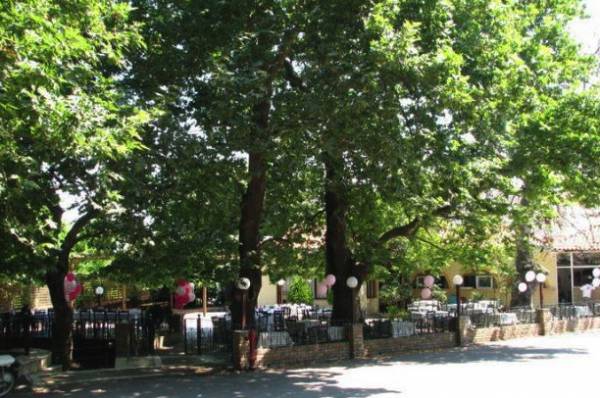 Αγονη δημοπρασία για το περίπτερο του Αετού