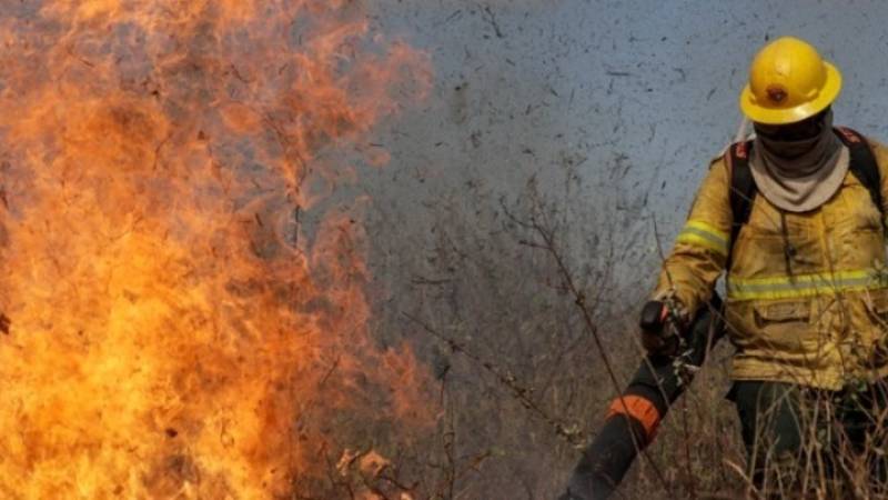 myPyrasfaleiaLive: Διαθέσιμη η ψηφιακή πλατφόρμα για τον προγραμματισμό ραντεβού και εξ' αποστάσεως εξυπηρέτηση