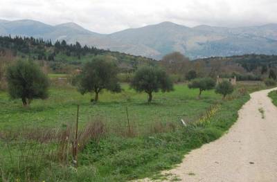Στροφή Ταγαρά στη Βουλή: Δεν θα γίνει ρύθμιση για τα εκτός σχεδίου