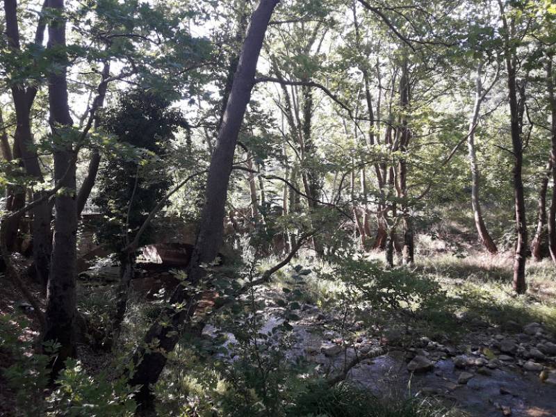 Ο Σύλλογος Αρκάδων Ορειβατών Οικολόγων εξορμά στη Μεσσηνία