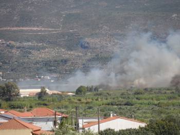 Φωτιές σε Κυπαρισσία και Μικρομάνη